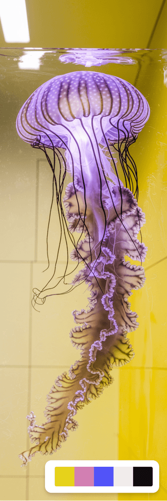 Ideogram V2 illustration with custom palette